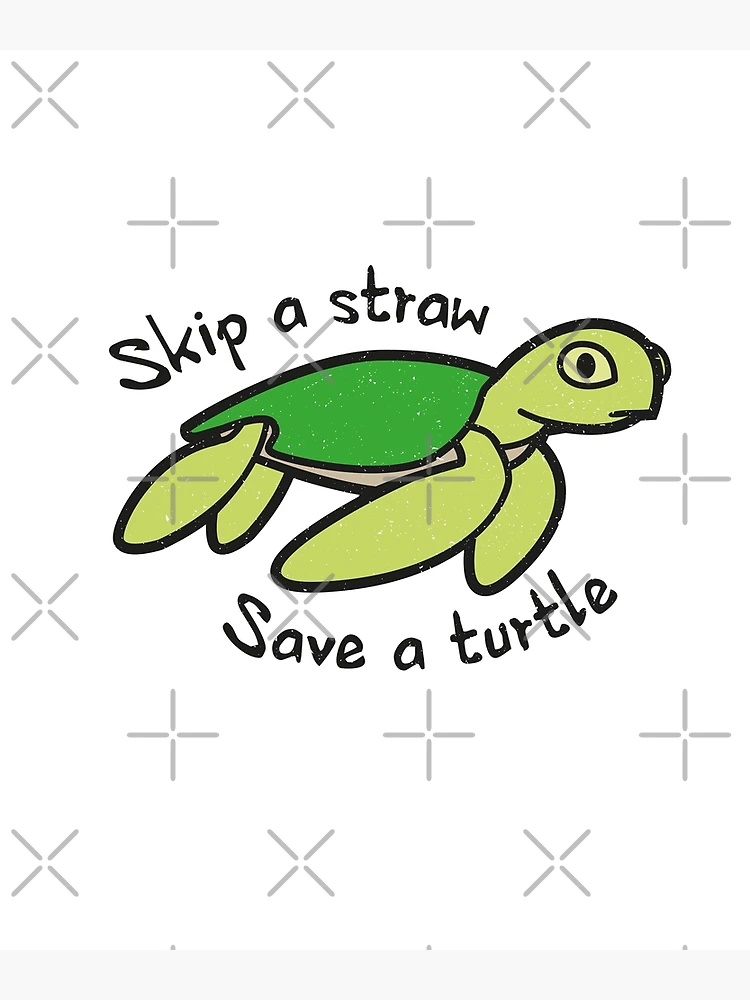 Skip the Straw,” save a sea turtle – South Lakes Sentinel