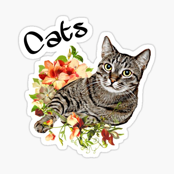 Artikel-Vorschau von Cats , Katzen , Katze, designt und verkauft von Bonita0105.