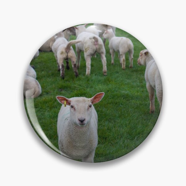 Item preview, Curious Lamb on North Sea Dike — Germany designed and sold by WanderGrainFilm.