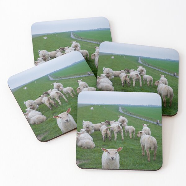 Item preview, Curious Lamb on North Sea Dike — Germany designed and sold by WanderGrainFilm.