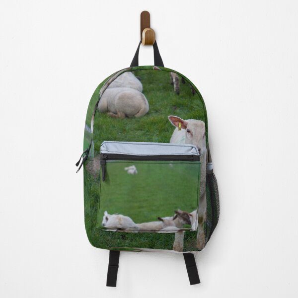 Item preview, Curious Lamb on North Sea Dike — Germany designed and sold by WanderGrainFilm.