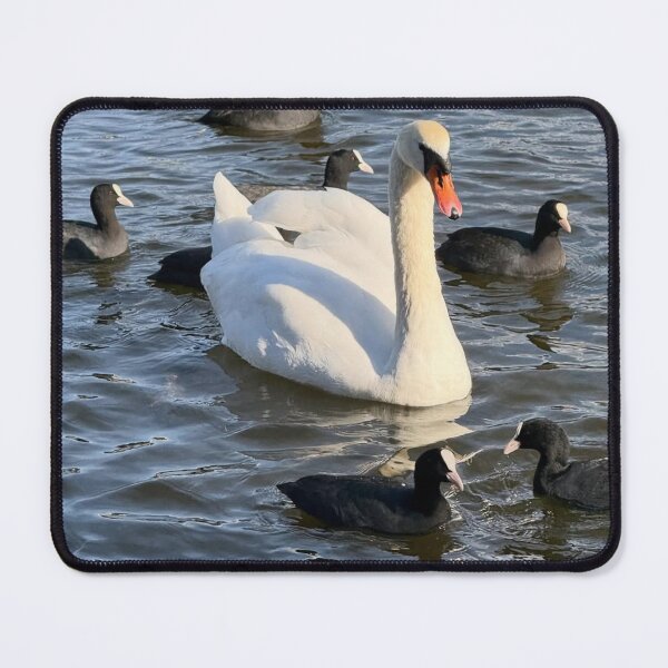 Item preview, Prague Steyr Mannlicher aRiver Serenity designed and sold by Harrisonvibes.
