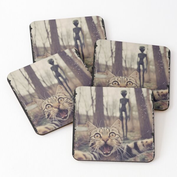Item preview, Funny Cat Selfie with Alien sighting - Cursed Image Aesthetic designed and sold by haitrieuic96.