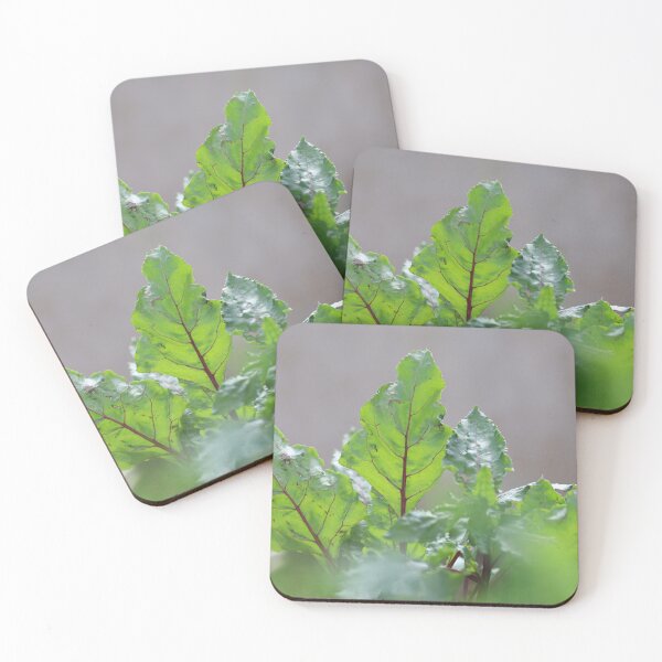 Item preview, Fresh Beet Leaves in Natural Light designed and sold by diabshoots.