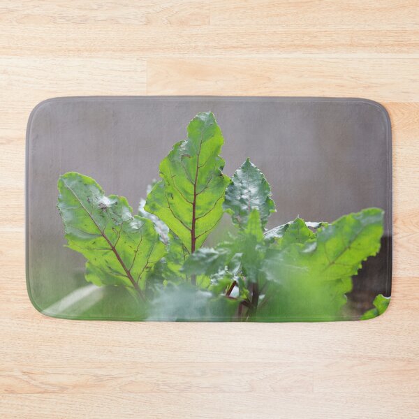 Item preview, Fresh Beet Leaves in Natural Light designed and sold by diabshoots.