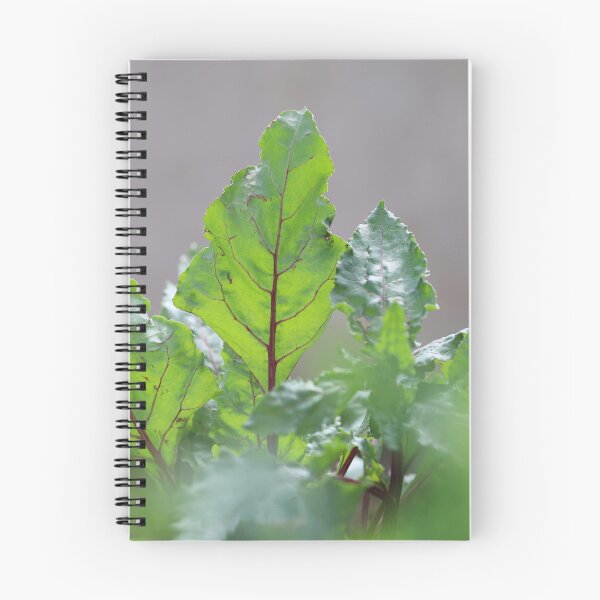 Item preview, Fresh Beet Leaves in Natural Light designed and sold by diabphotography.