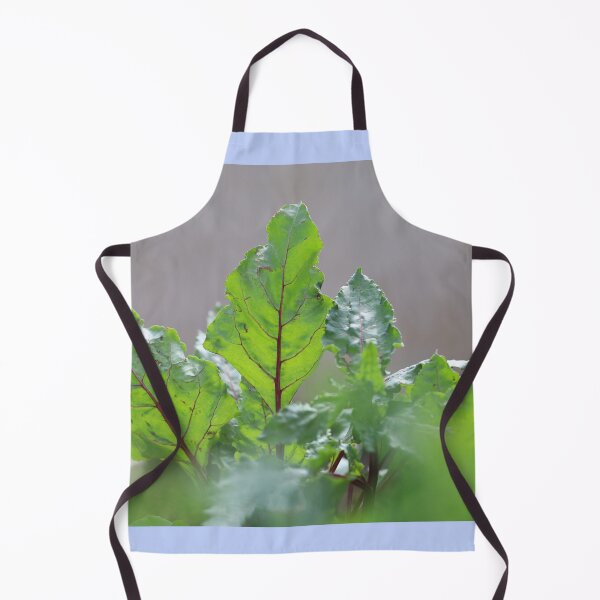 Item preview, Fresh Beet Leaves in Natural Light designed and sold by diabphotography.