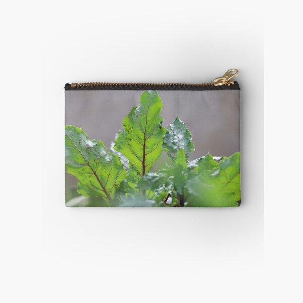 Item preview, Fresh Beet Leaves in Natural Light designed and sold by diabphotography.