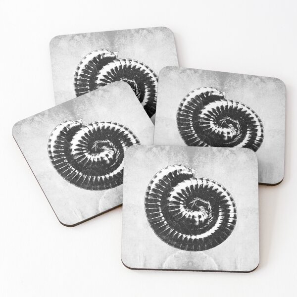 Item preview, Coiled Millipede Spiral Dark Natural History Art designed and sold by Ghoul Enterprises.