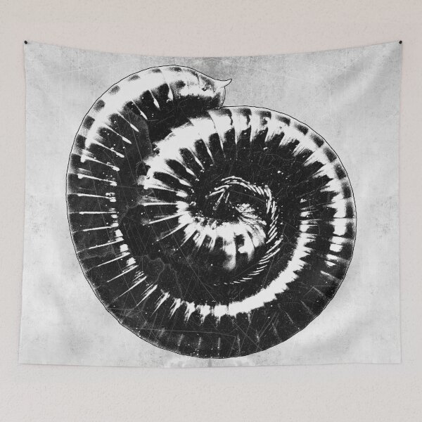 Item preview, Coiled Millipede Spiral Dark Natural History Art designed and sold by Ghoul Enterprises.