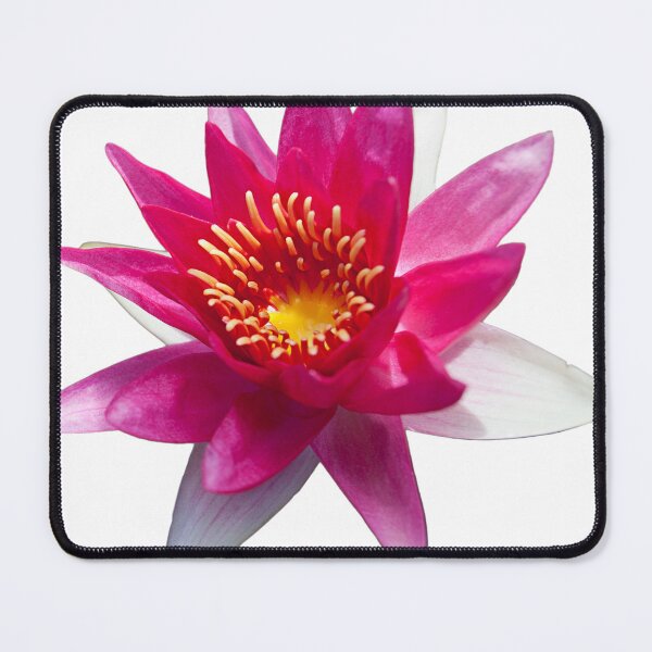 Item preview, Pink Water Lily designed and sold by BlaizerB.