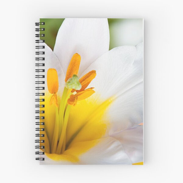 Item preview, White lily designed and sold by BlaizerB.