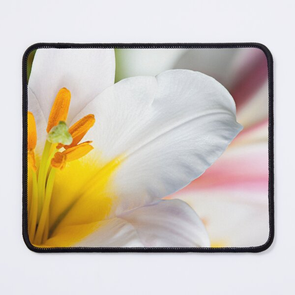 Item preview, White lily designed and sold by BlaizerB.