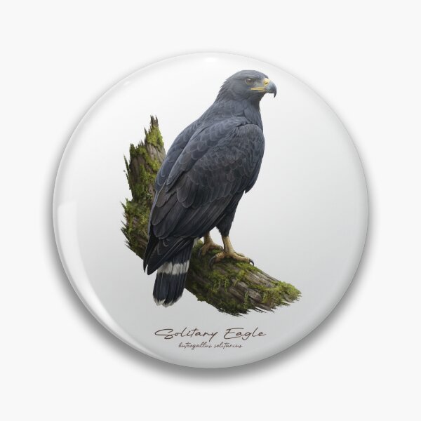 Item preview, Solitary Eagle on Mossy Branch designed and sold by Takeda-art.
