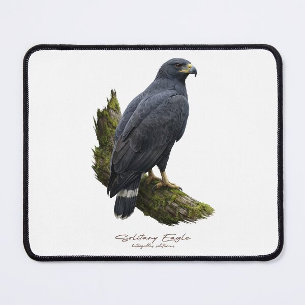 Item preview, Solitary Eagle on Mossy Branch designed and sold by Takeda-art.
