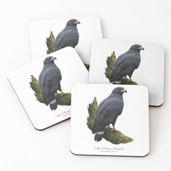 Item preview, Solitary Eagle on Mossy Branch designed and sold by Takeda-art.