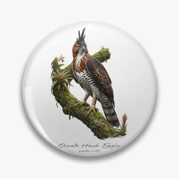 Item preview, Ornate Hawk Eagle on Tropical Mossy Branch designed and sold by Takeda-art.