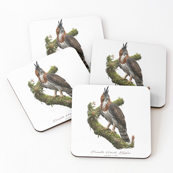 Item preview, Ornate Hawk Eagle on Tropical Mossy Branch designed and sold by Takeda-art.