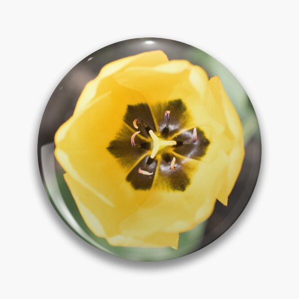 Item preview, Top View of a Gold Yellow Tulip designed and sold by Georgia Mizuleva.