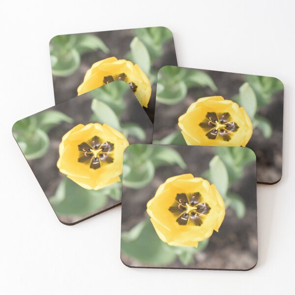 Item preview, Top View of a Gold Yellow Tulip designed and sold by Georgia Mizuleva.