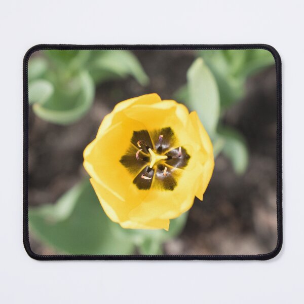 Item preview, Top View of a Gold Yellow Tulip designed and sold by Georgia Mizuleva.