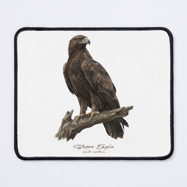 Item preview, Steppe Eagle on Branch designed and sold by Takeda-art.