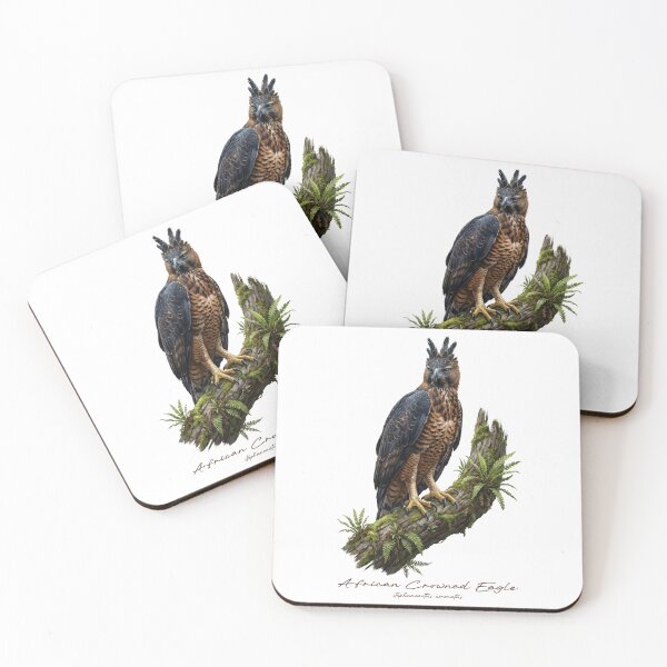 Item preview, African Crowned Eagle on Tropical Mossy Branch designed and sold by Takeda-art.