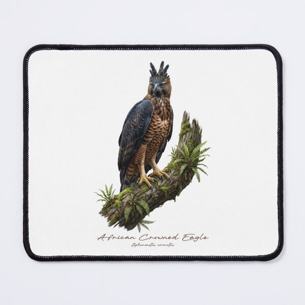 Item preview, African Crowned Eagle on Tropical Mossy Branch designed and sold by Takeda-art.