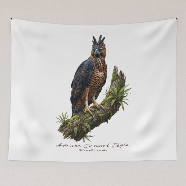 Item preview, African Crowned Eagle on Tropical Mossy Branch designed and sold by Takeda-art.