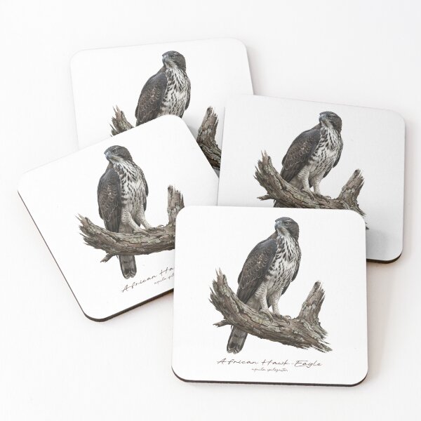 Item preview, African Hawk-Eagle on Branch designed and sold by Takeda-art.