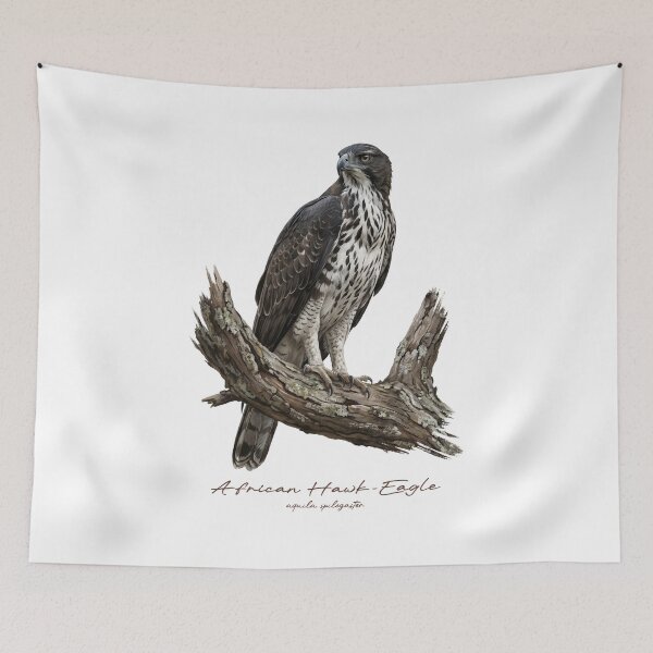 Item preview, African Hawk-Eagle on Branch designed and sold by Takeda-art.