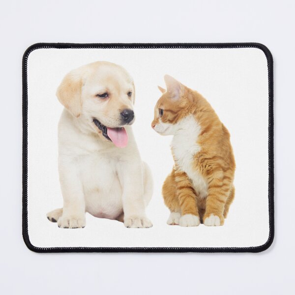 Item preview, Best Friends – Dog and Cat | Cute Pet Design designed and sold by Hobby-up.