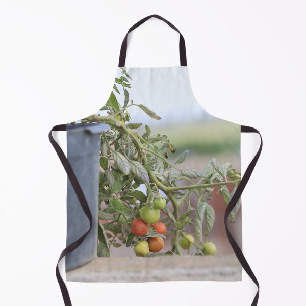 Item preview, Growing Cherry Tomatoes in Natural Light designed and sold by diabphotography.