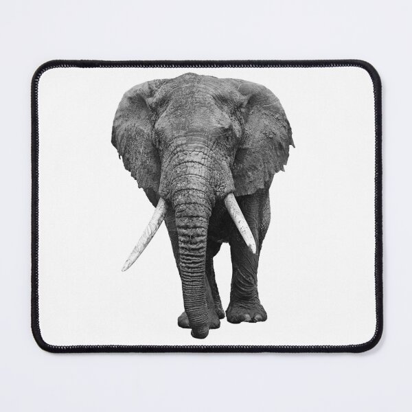 Item preview, Elephant designed and sold by BlaizerB.