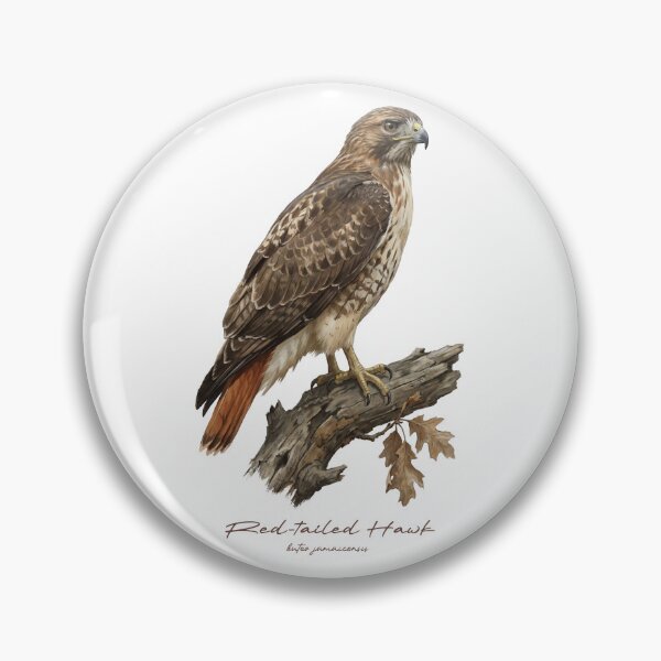 Item preview, Red-tailed Hawk on Dried Branch designed and sold by Takeda-art.