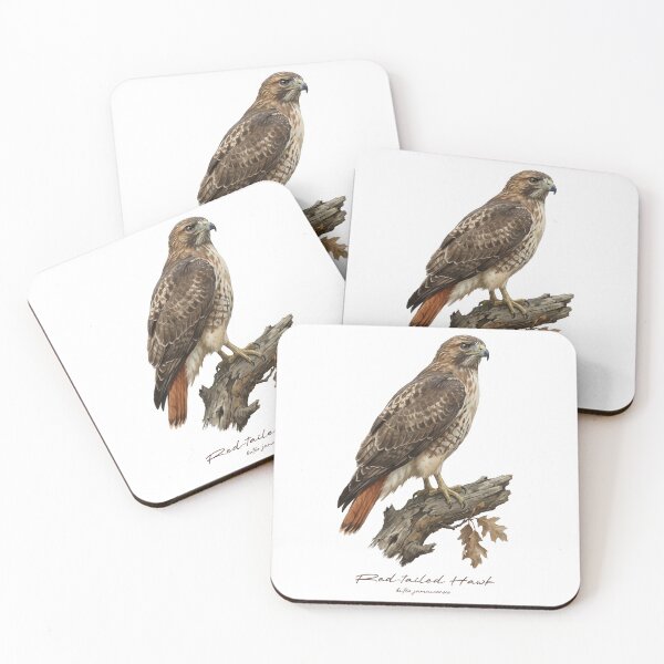 Item preview, Red-tailed Hawk on Dried Branch designed and sold by Takeda-art.