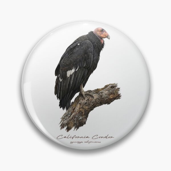 Item preview, California Condor on Withered Branch designed and sold by Takeda-art.