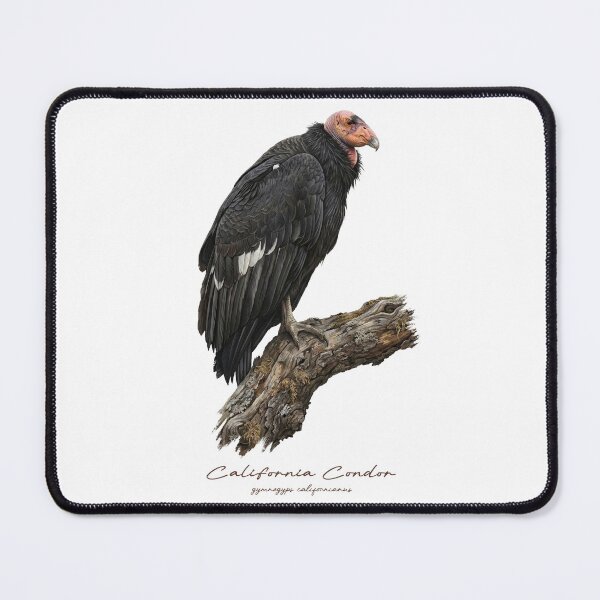 Item preview, California Condor on Withered Branch designed and sold by Takeda-art.