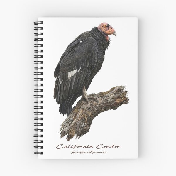 Item preview, California Condor on Withered Branch designed and sold by Takeda-art.