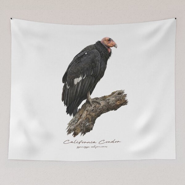 Item preview, California Condor on Withered Branch designed and sold by Takeda-art.