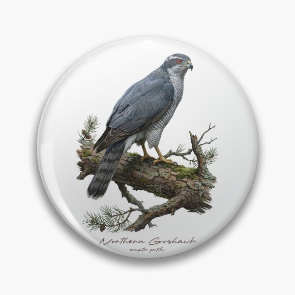 Item preview, Northern Goshawk on Pine Tree designed and sold by Takeda-art.