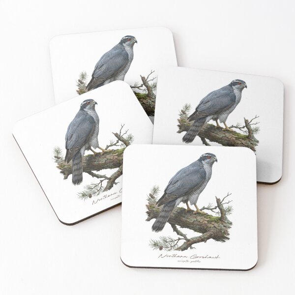 Item preview, Northern Goshawk on Pine Tree designed and sold by Takeda-art.