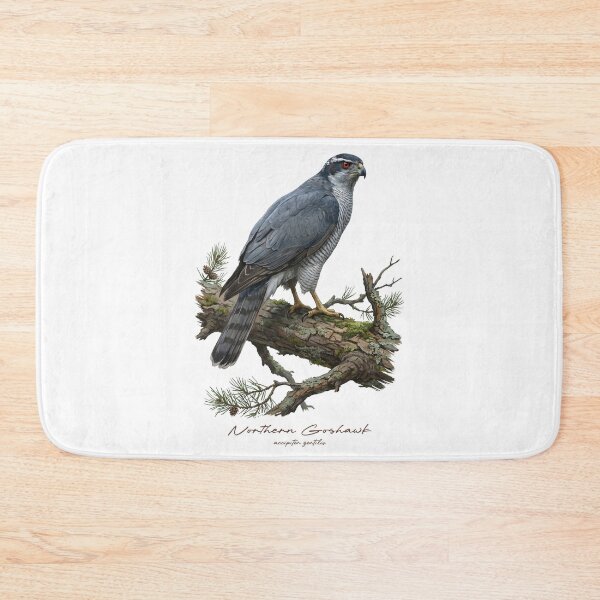 Item preview, Northern Goshawk on Pine Tree designed and sold by Takeda-art.