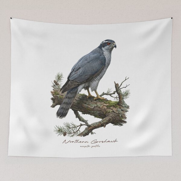 Item preview, Northern Goshawk on Pine Tree designed and sold by Takeda-art.