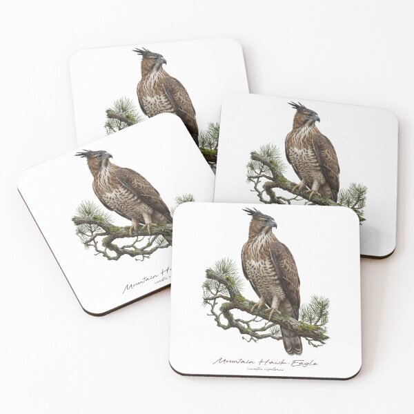 Item preview, Mountain Hawk-Eagle on Mossy Pine Tree designed and sold by Takeda-art.
