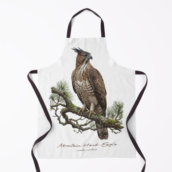 Item preview, Mountain Hawk-Eagle on Mossy Pine Tree designed and sold by Takeda-art.