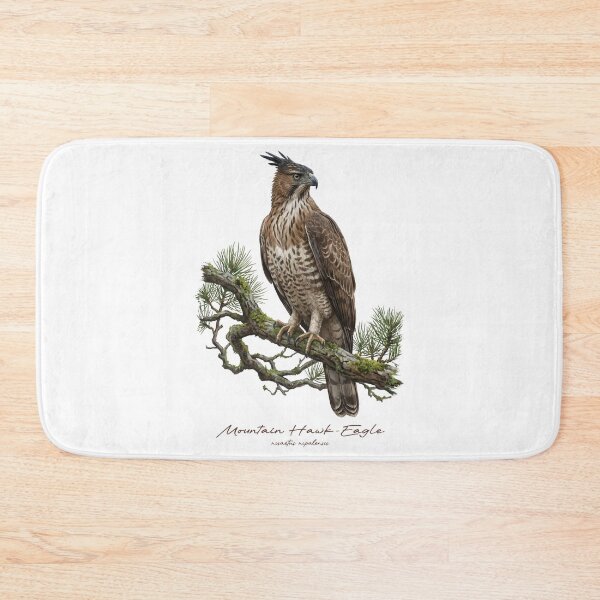 Item preview, Mountain Hawk-Eagle on Mossy Pine Tree designed and sold by Takeda-art.