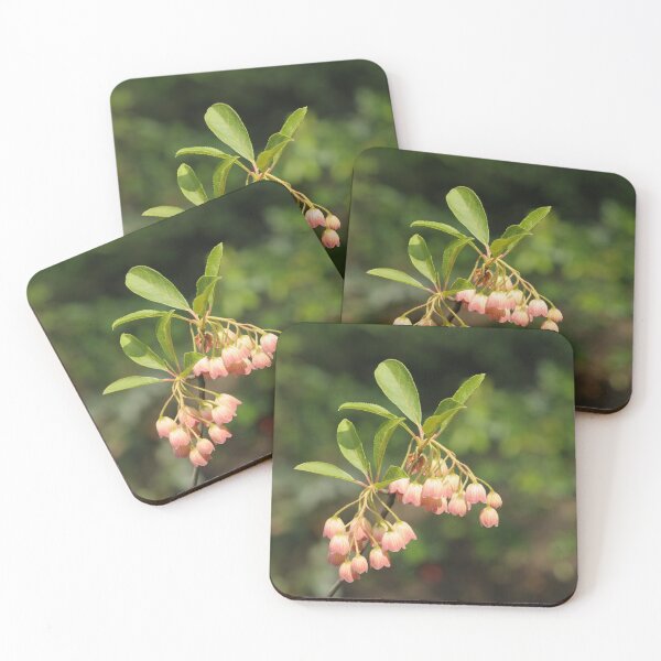 Item preview, Enkianthus flowers under sun designed and sold by AsahiNoAme.