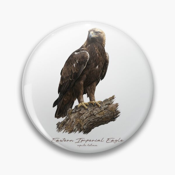 Item preview, Eastern Imperial Eagle on Branch designed and sold by Takeda-art.