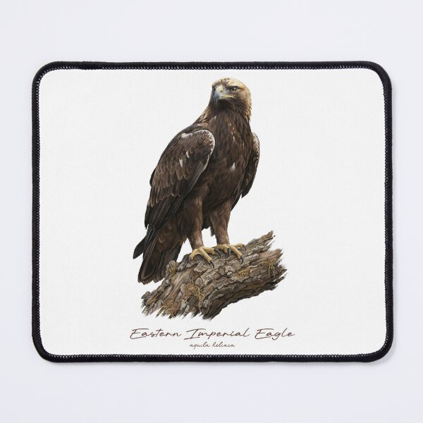 Item preview, Eastern Imperial Eagle on Branch designed and sold by Takeda-art.